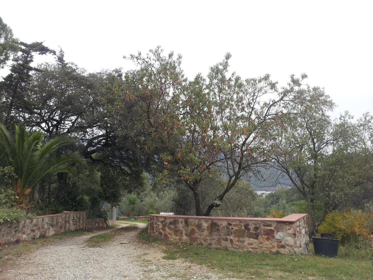 Masia Can Sunyer Agroturismo La Garriga Exteriör bild
